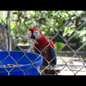 Meet your Posher, Rylee